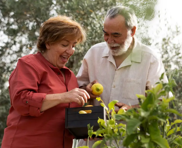 Senior woman smiling while volunteering at a local community garden – a perfect example of purposeful retirement for seniors